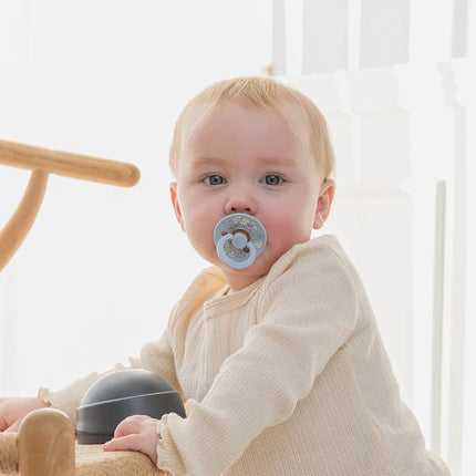 BIBS Speen Maat 1 Liberty Eloise/Sage 2St koop je bij Babywinkel
