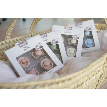 BIBS Speen Maat 1 Testpakket Sage koop je bij Babywinkel