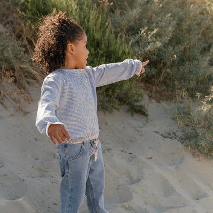 Blouse lange mouw Denim Blue Stripe koop je bij Babywinkel