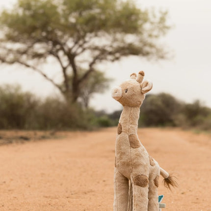 Little Dutch -pehmolelu, kirahvi, Safari, 42 cm