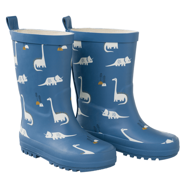 Fresk Regenlaarsjes Dino koop je bij Babywinkel