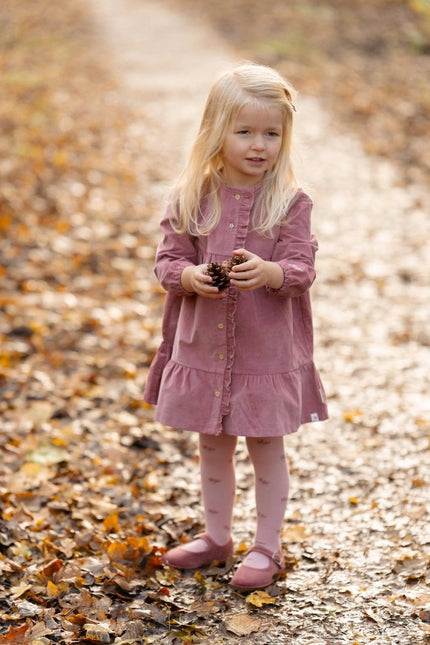 Little Dutch Baby Jurkje Lange Mouw Rouge koop je bij Babywinkel