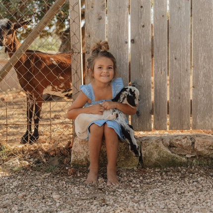 Little Dutch Baby Jurkje Denim koop je bij Babywinkel