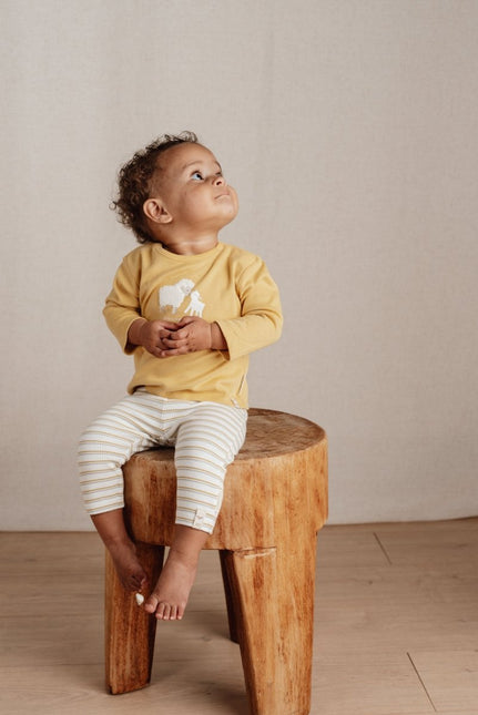 Little Dutch Baby Shirt Lange Mouw Warm Yellow koop je bij Babywinkel
