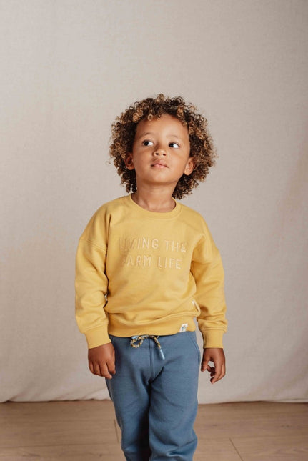 Little Dutch Baby Sweater Mustard Yellow koop je bij Babywinkel