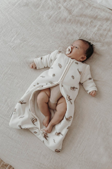 Meyco Baby Robin Baby Slaapzak Met Afritsbare Mouwen Multicolour koop je bij Babywinkel