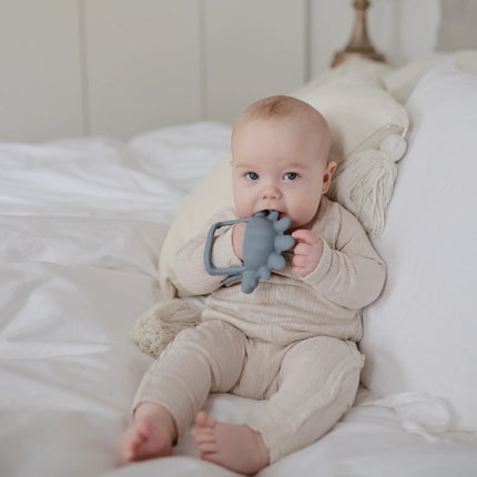 Mushie Bijtring Dino/Tradewinds koop je bij Babywinkel