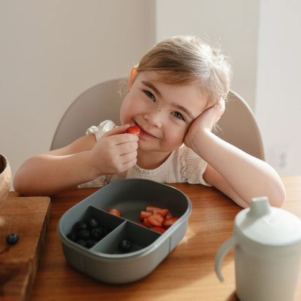 Mushie Lunchbox Smoke koop je bij Babywinkel