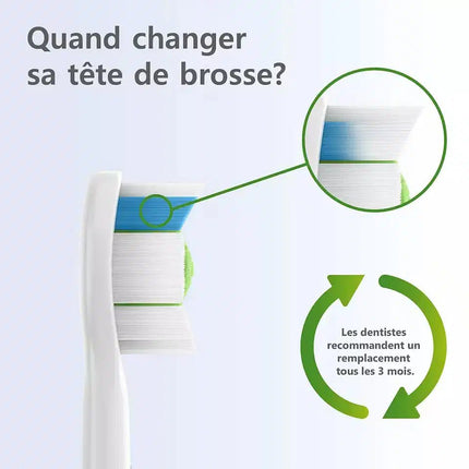 Philips Avent Tandenborstel Sonicare Wit 2 Stuks koop je bij Babywinkel