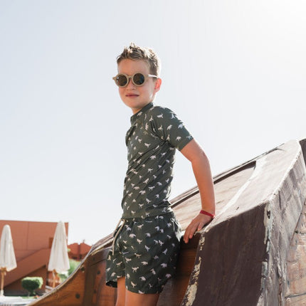 Slipstop Zwembroekje Dino Green koop je bij Babywinkel