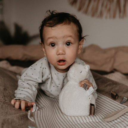 Snoozebaby Aankleedkussenhoes Happy Dressing Warm Brown 45x70cm koop je bij Babywinkel