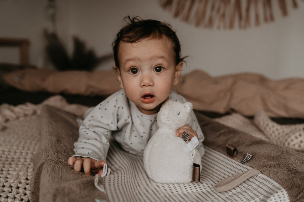 Snoozebaby Aankleedkussenhoes Happy Dressing Warm Brown 45x70cm koop je bij Babywinkel