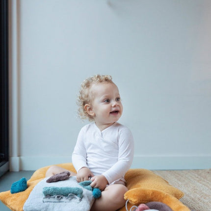 Snoozebaby Baby Boekje Activity House koop je bij Babywinkel