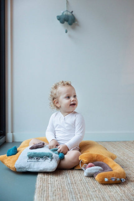 Snoozebaby Baby Boekje Activity House koop je bij Babywinkel