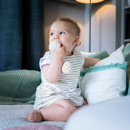 Sophie de Giraf Rammelaar Bijt koop je bij Babywinkel