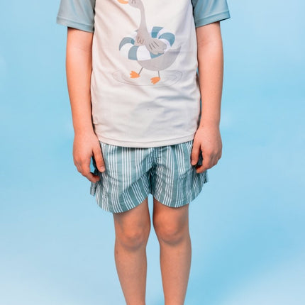 Swim Essentials Zwemshort Resort Stripe koop je bij Babywinkel