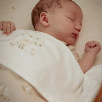 Little Dutch Wiegdeken Fleece Little Goose koop je bij Babywinkel