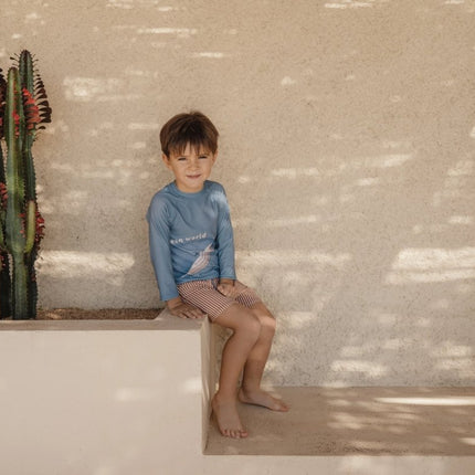 Zwem short Ocean Brown Stripes koop je bij Babywinkel