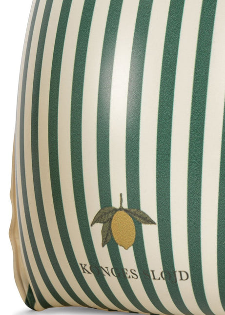 Zwemvleugels Basis Groene Streep koop je bij Babywinkel